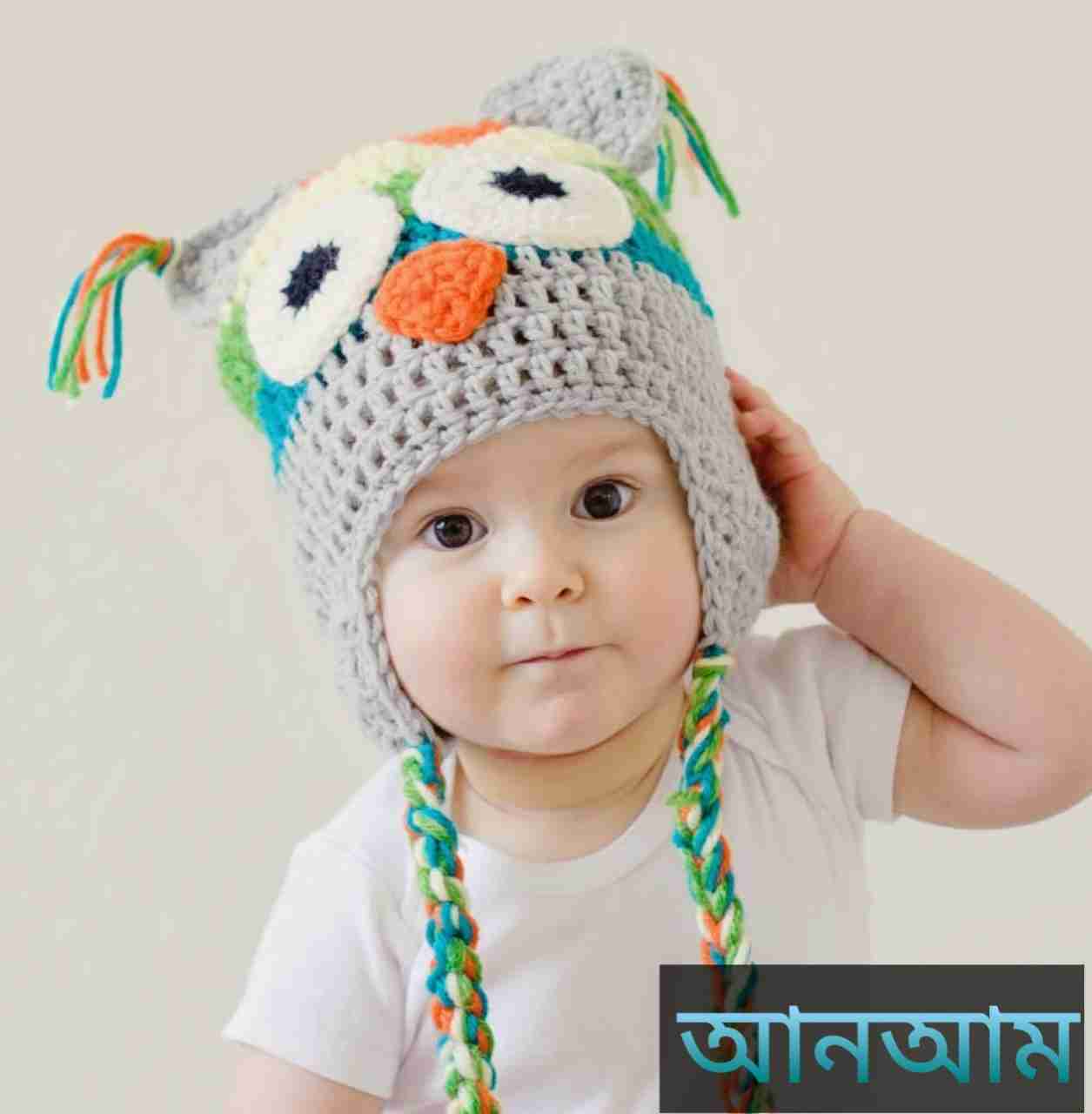 আনআম নামের অর্থ কি? Anam Name meaning in Bengali