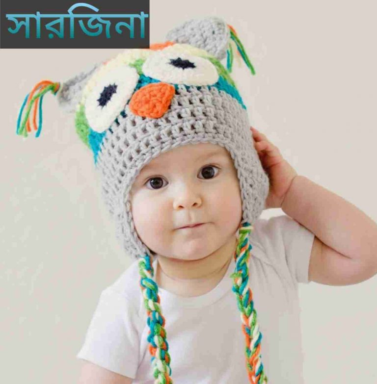 সারজিনা নামের অর্থ কি? Sarjina Name meaning in Bengali