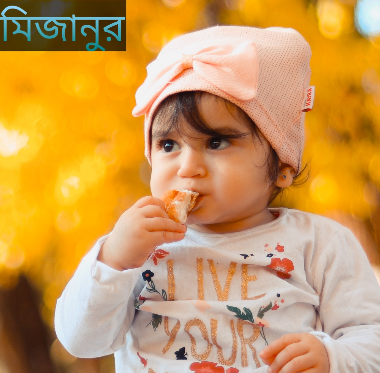 মিজানুর নামের অর্থ কি? Mizanul Name meaning in Bengali