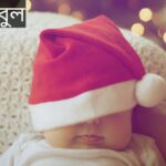 বাবুল নামের অর্থ কি? Babul Name meaning in Bengali