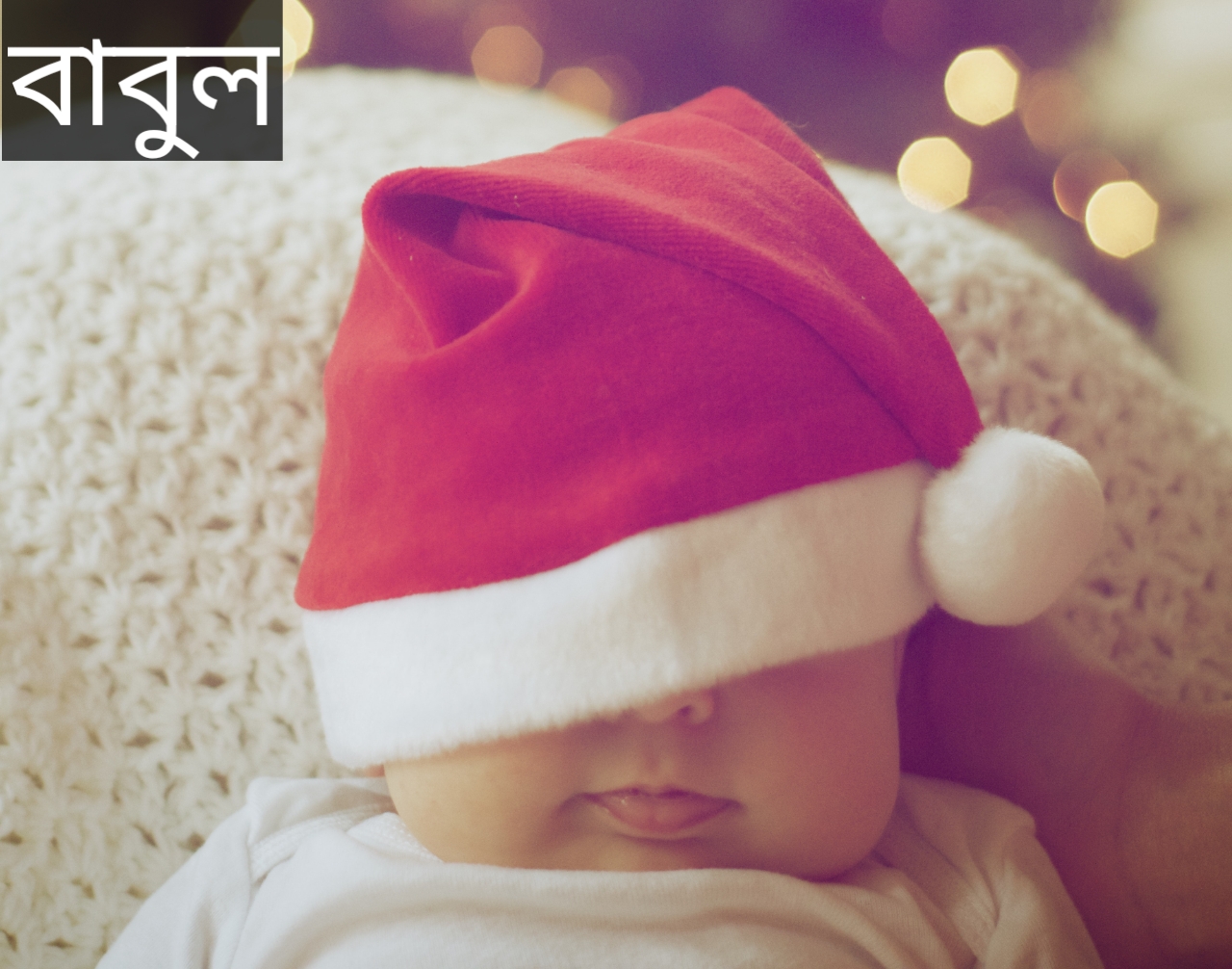 বাবুল নামের অর্থ কি? Babul Name meaning in Bengali